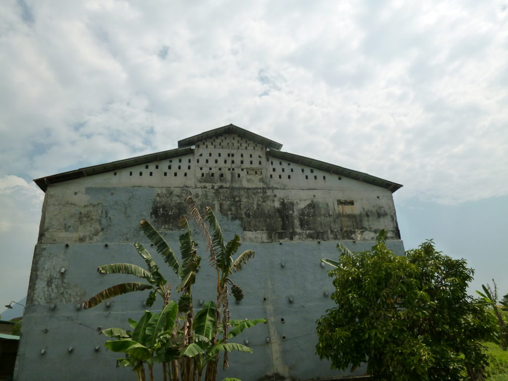 ツバメの巣営巣バーズハウス