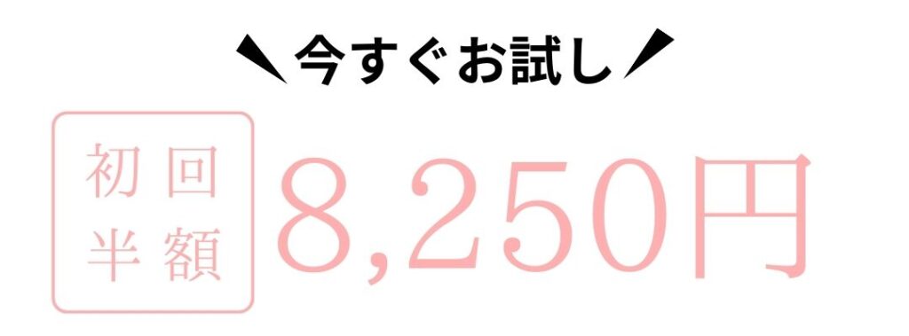 初回半額8,250円
